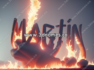 Martin Fire
